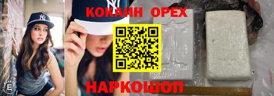 спайс Гусев