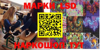 индика Апшеронск