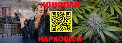 ALPHA PVP Гай