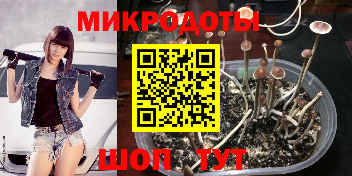 Псилоцибиновые грибы Cubensis  Вход с VPN  Нижнекамск 