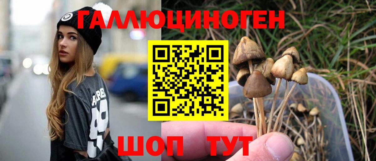 Псилоцибиновые грибы мицелий Нижнекамск